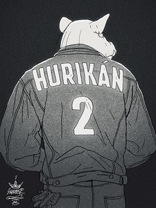 hurikan2-thumb-vertical.jpg